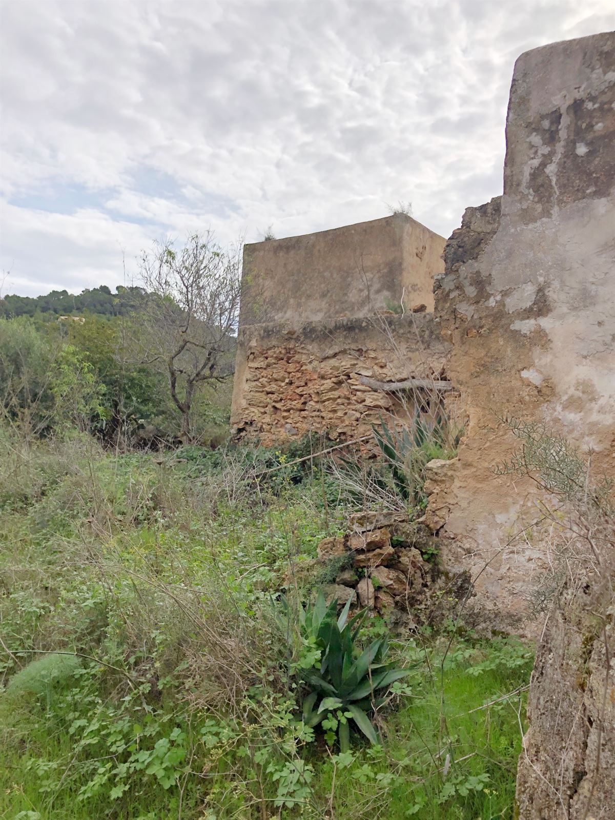 Ruine et grand terrain de 72.000m2 à San Agustin à vendre