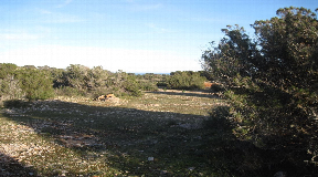 Terrain avec projet de base approuvé pour une maison unifamiliale avec piscine à Cap de Barbaria Formentera